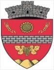 Primăria Valu